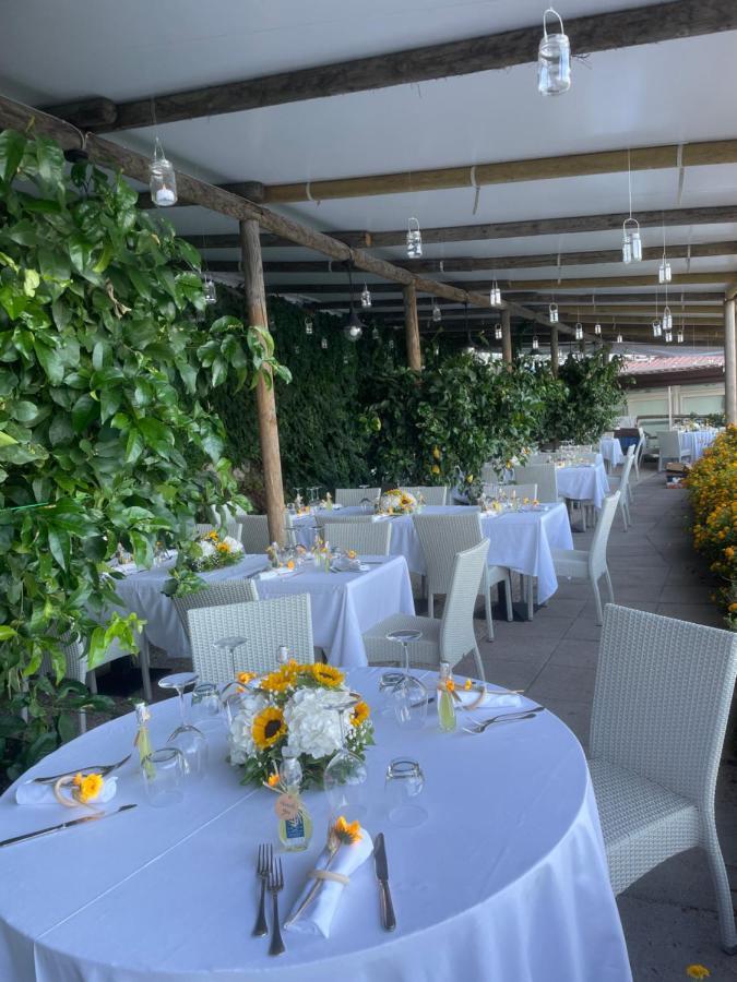 Holidays Fico D'india Hotel