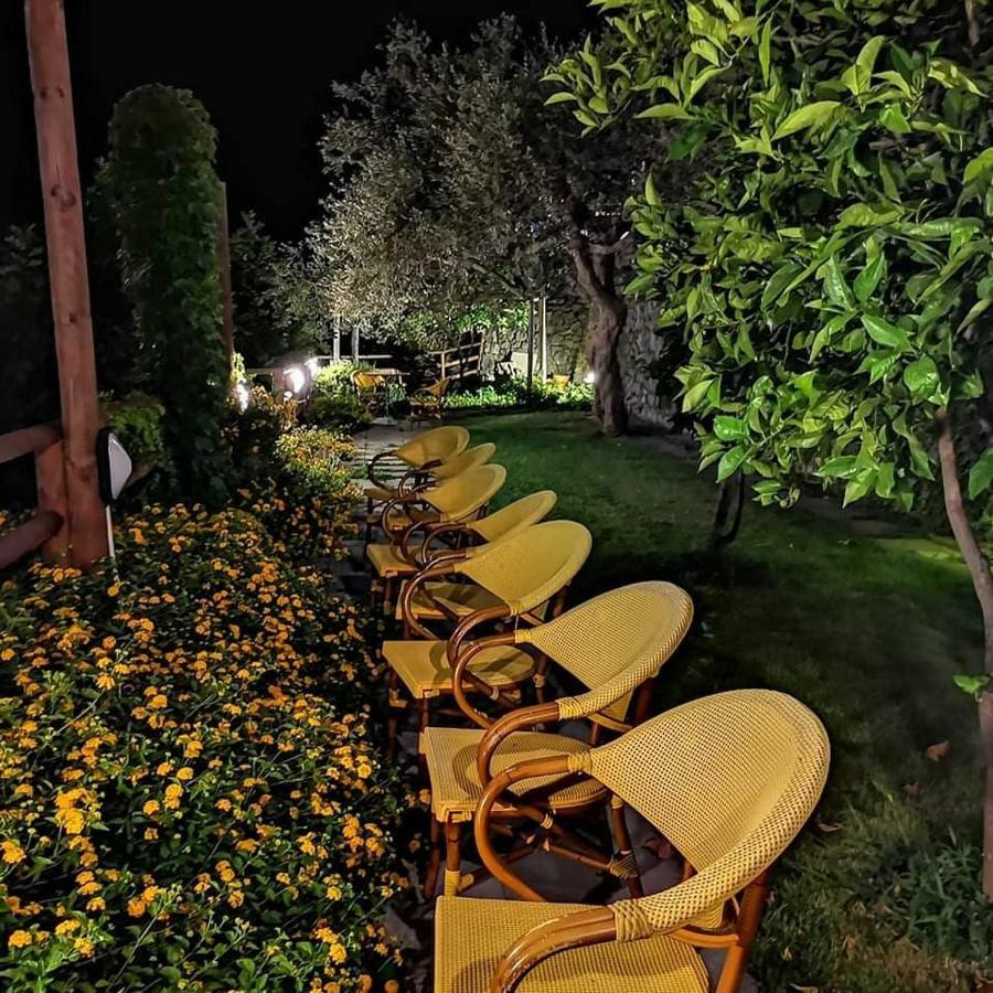 Hotel Holidays Fico D'india